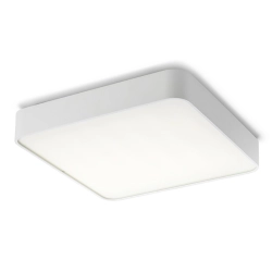 Plafon MENSA SQ 48 R12120 Rendl light studio