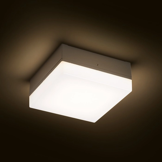 Plafon SPECTACLE R11968 IP54 LED 5W Rendl light studio - zdjęcie dodatkowe 1