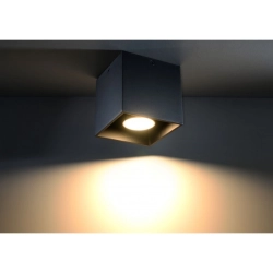 Lampa Sufitowa Downlight Quad Czarna SL.0022 SOLLUX LIGHTING