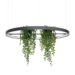 Żyrandol RIO BIO 110 czarny LED 4000K TH.556 THORO - zdjęcie produktu