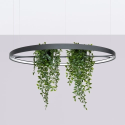 Żyrandol RIO BIO 110 czarny LED 4000K TH.556 THORO - zdjęcie 2