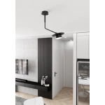 MIZU 1 BL 1448/1 EMIBIG