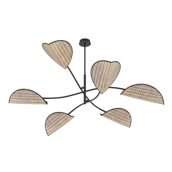 LOTUS 6 BL NATURAL 1463/6 EMIBIG