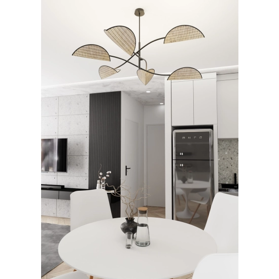 LOTUS 6 BL NATURAL 1463/6 EMIBIG
